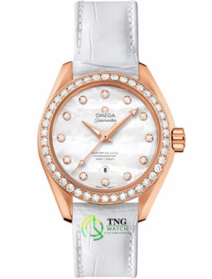 Đồng hồ Omega Aqua Terra 231.58.34.20.55.003
