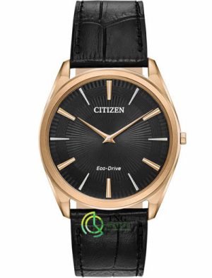 Đồng hồ Citizen AR3073-06E