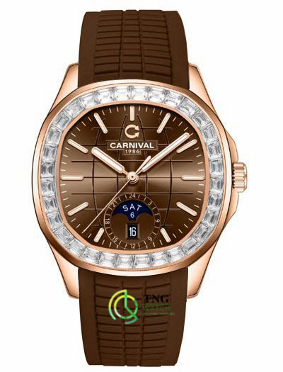 Đồng hồ Carnival 8113G2-VH-DCS-N2